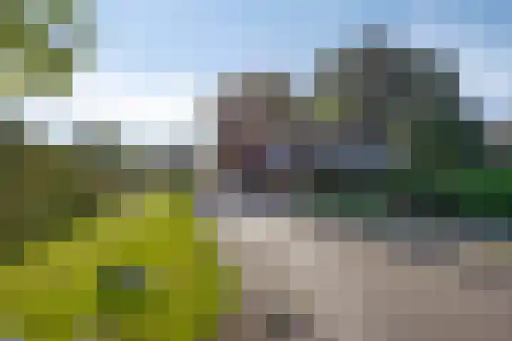 Berg 7 Budel thumbnail 70