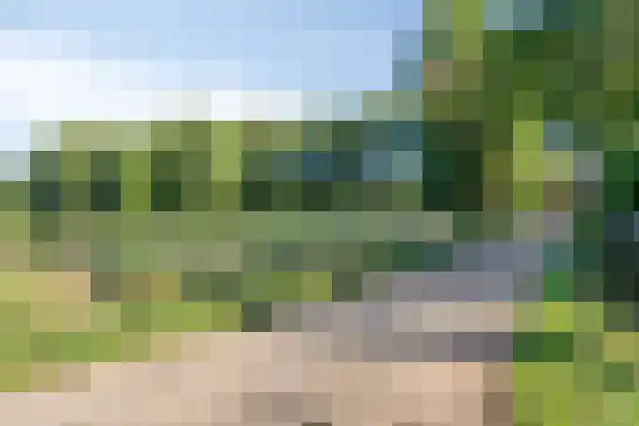 Berg 7 Budel thumbnail 72