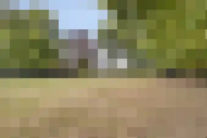 Berg 7 Budel thumbnail 73