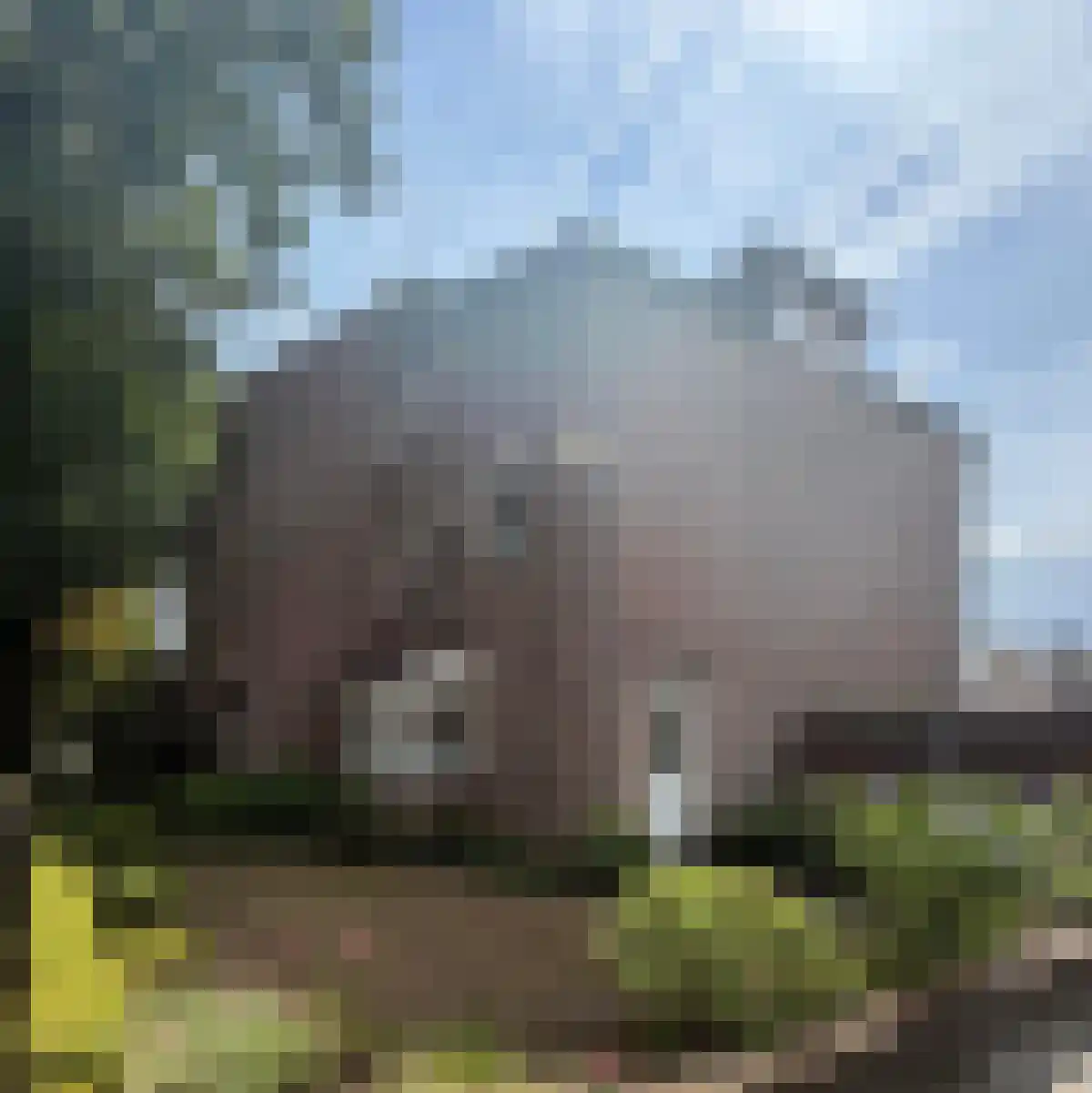 Berg 74 in Veldhoven