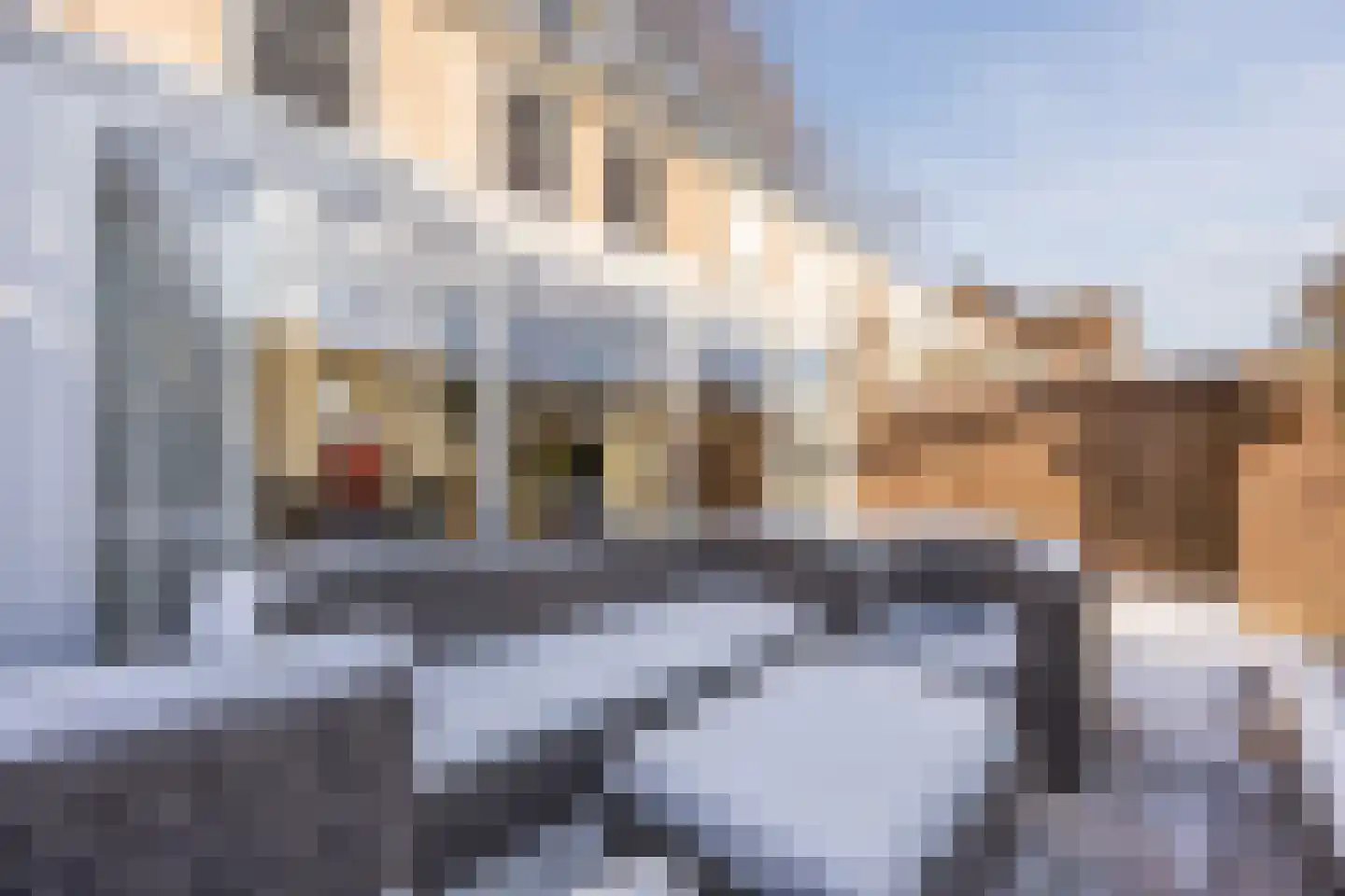 Berg 82 Veldhoven thumbnail 41