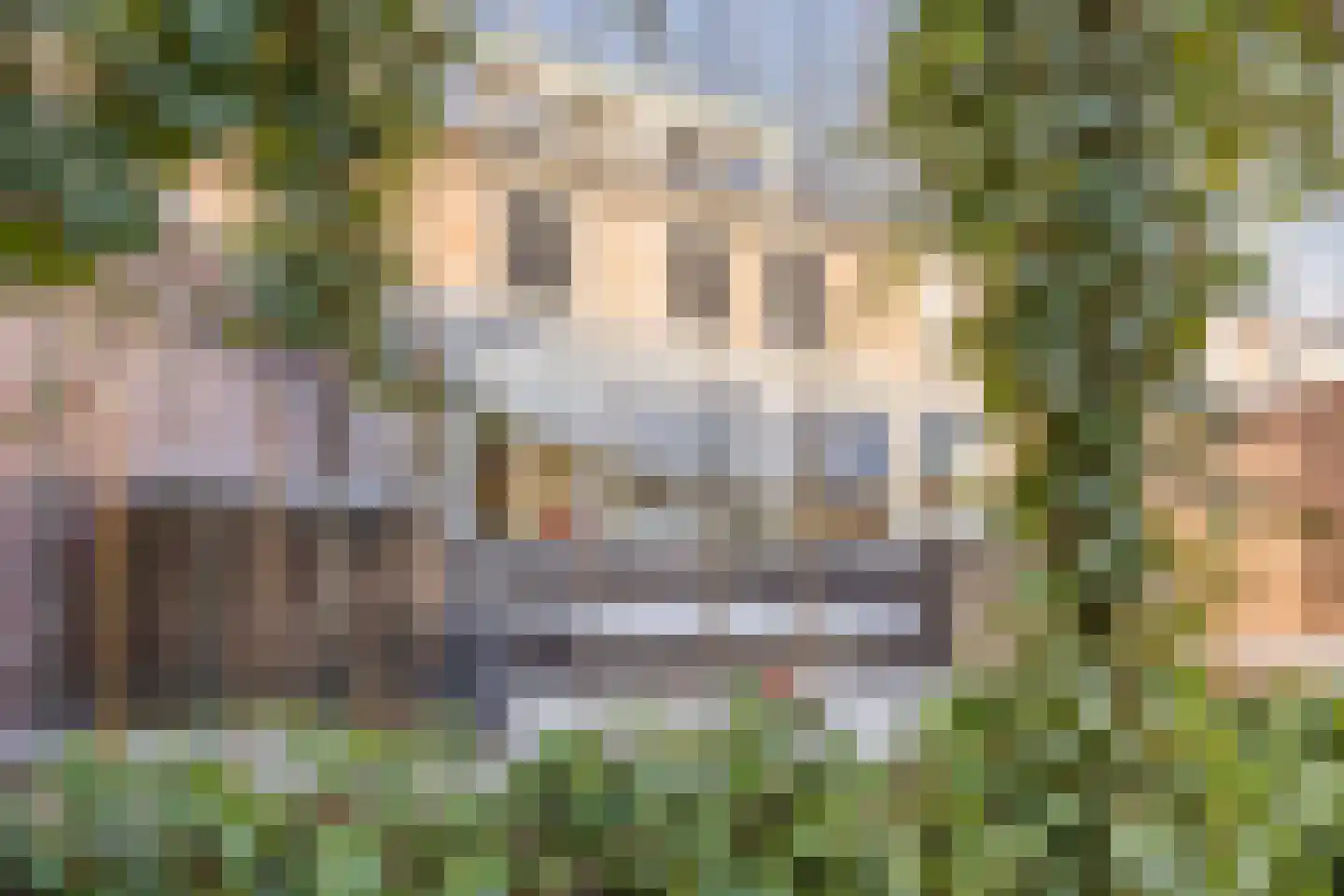 Berg 82 Veldhoven thumbnail 46