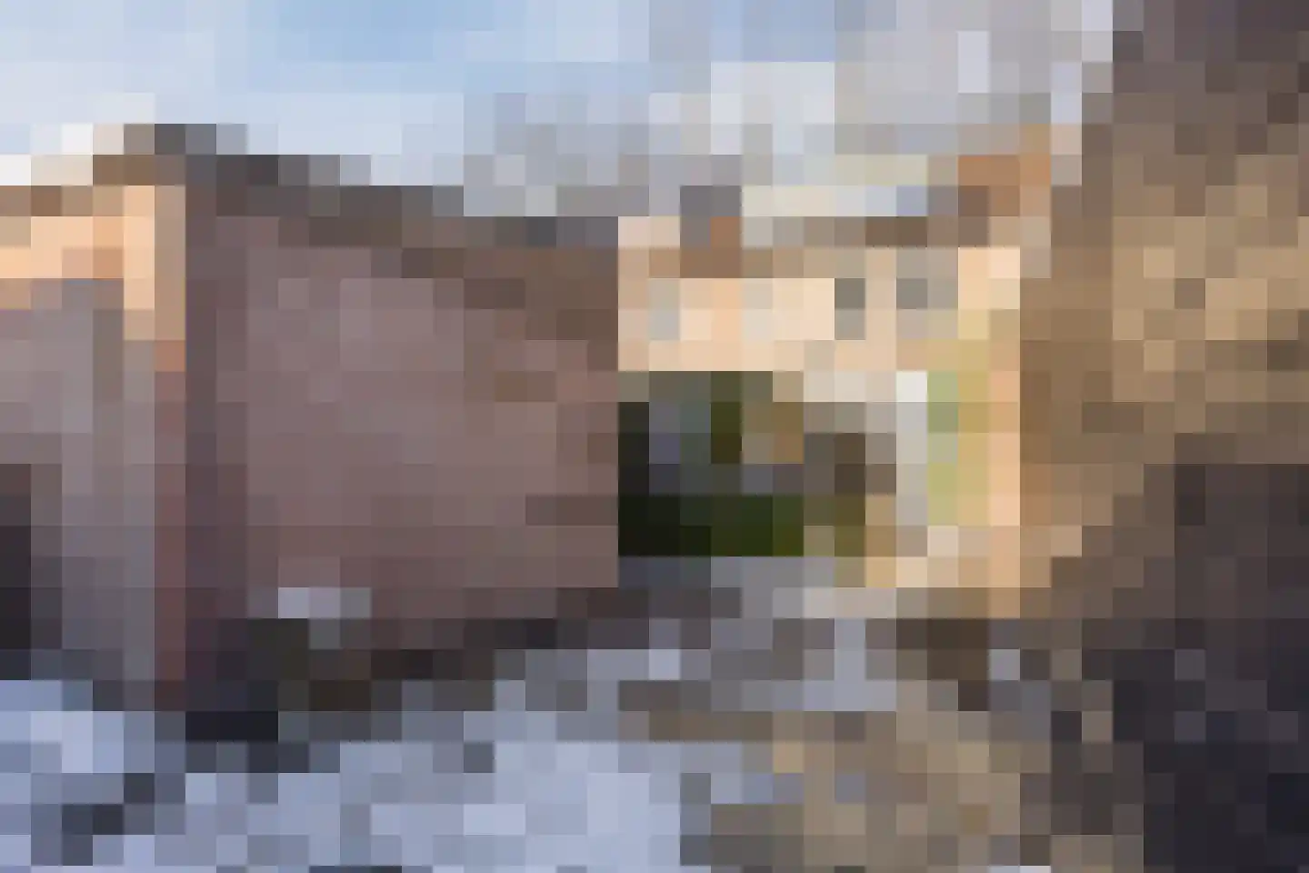 Berg 82 Veldhoven thumbnail 49