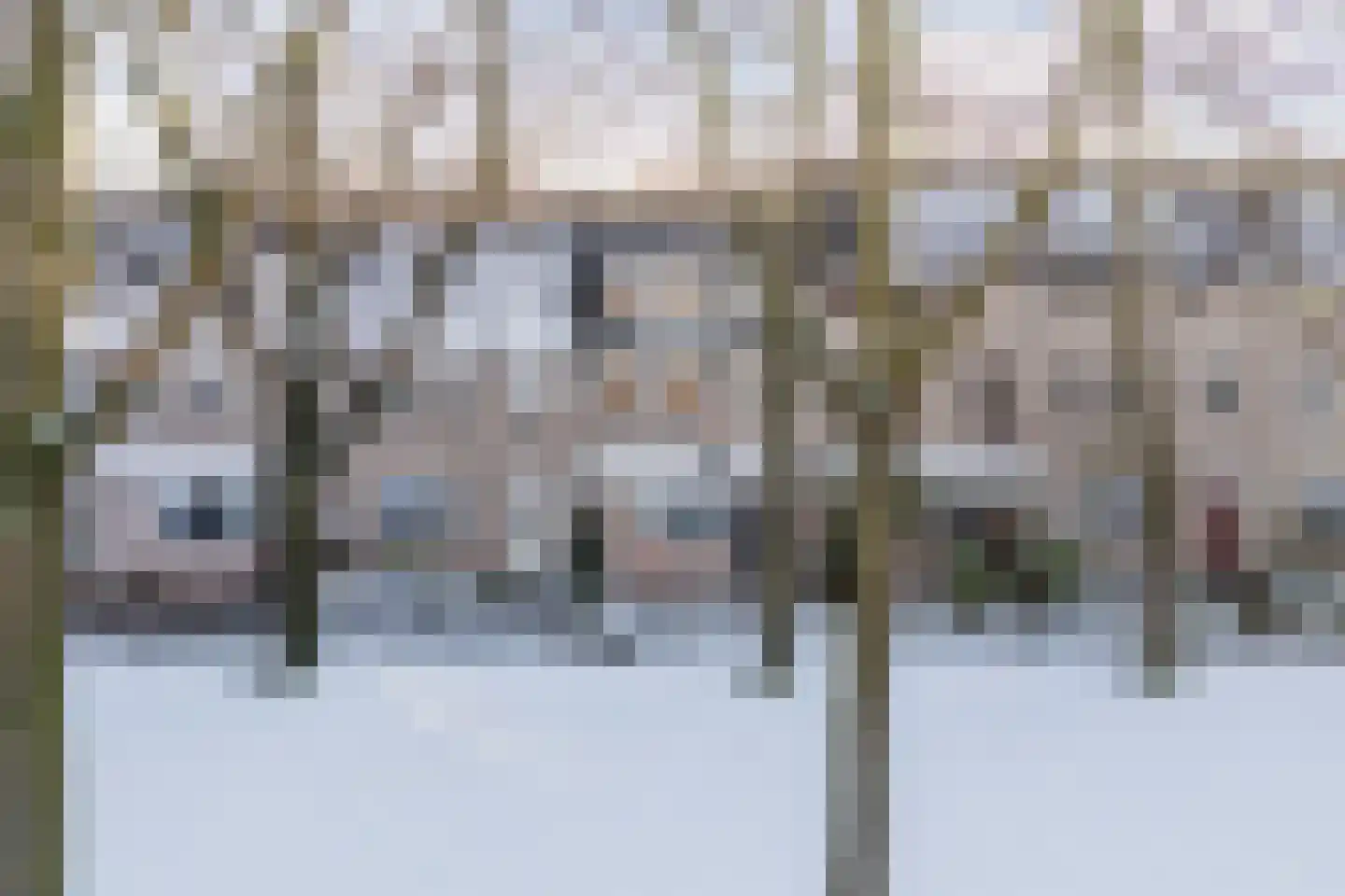 Berg 82 Veldhoven thumbnail 54