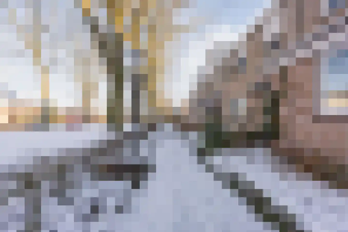 Berg 82 Veldhoven thumbnail 56