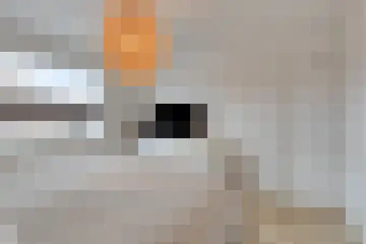 Berg 89 Veldhoven thumbnail 19