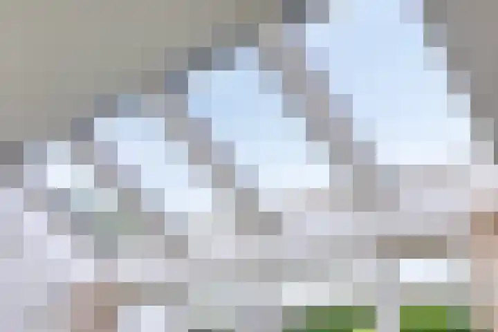 Berg en Bos 19 Hattem thumbnail 28