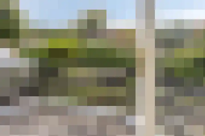 Berg en Bos 19 Hattem thumbnail 40