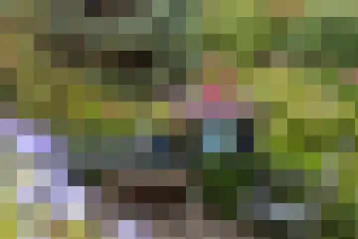 Berg en Bos 19 Hattem thumbnail 48