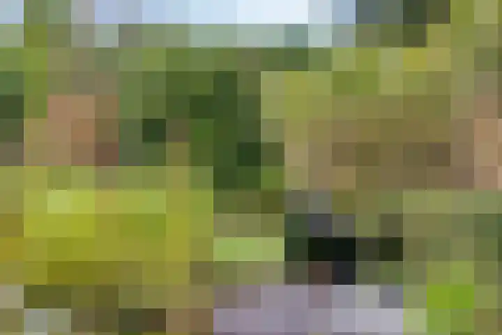 Berg en Bos 19 Hattem thumbnail 49