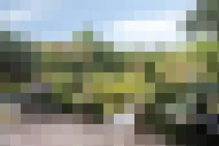 Berg en Bos 19 Hattem thumbnail 50