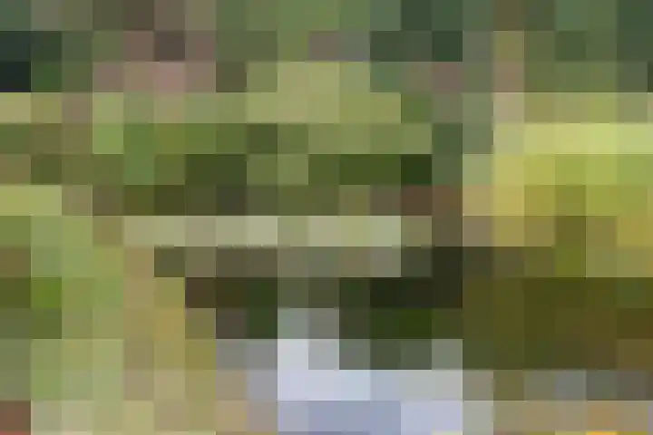 Berg en Bos 19 Hattem thumbnail 51