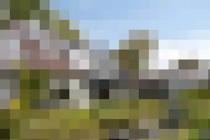 Berg en Bos 19 Hattem thumbnail 52