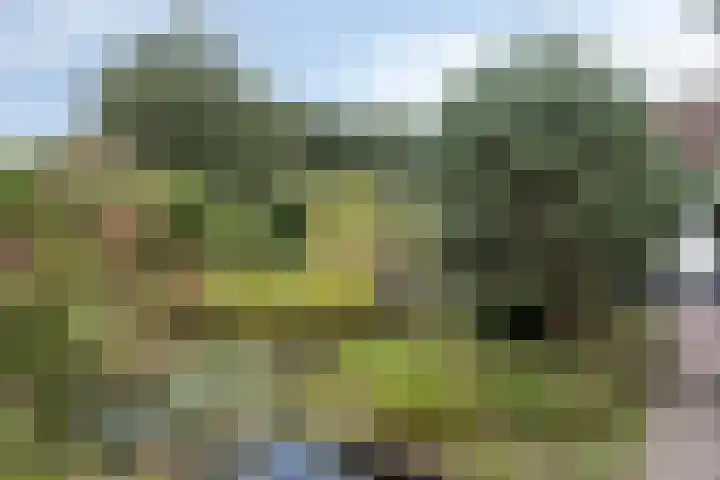 Berg en Bos 19 Hattem thumbnail 53