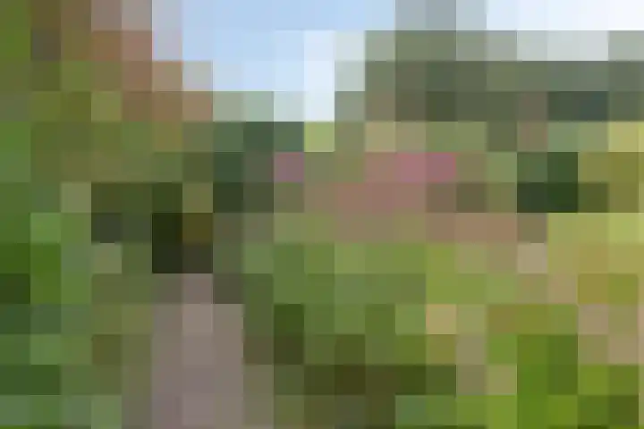 Berg en Bos 19 Hattem thumbnail 54