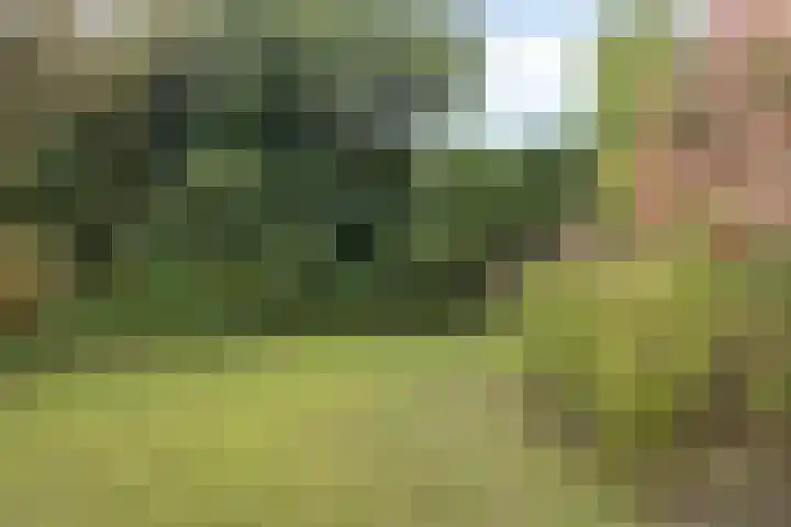 Berg en Bos 19 Hattem thumbnail 56