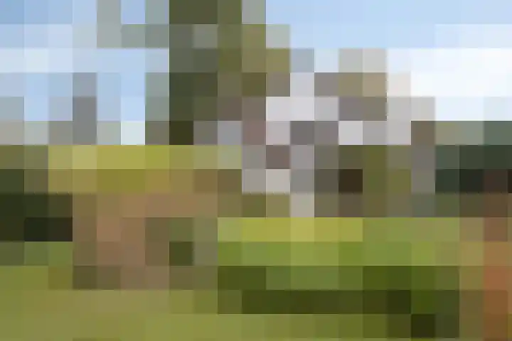 Berg en Bos 19 Hattem thumbnail 57