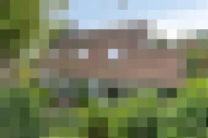 Berg en Bos 19 Hattem thumbnail 58