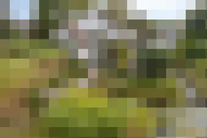 Berg en Bos 19 Hattem thumbnail 59