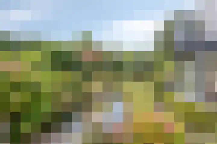 Berg en Bos 19 Hattem thumbnail 60
