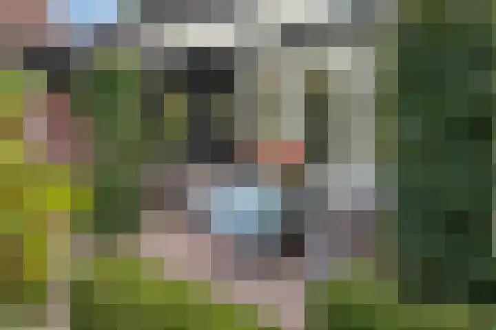 Berg en Bos 19 Hattem thumbnail 61