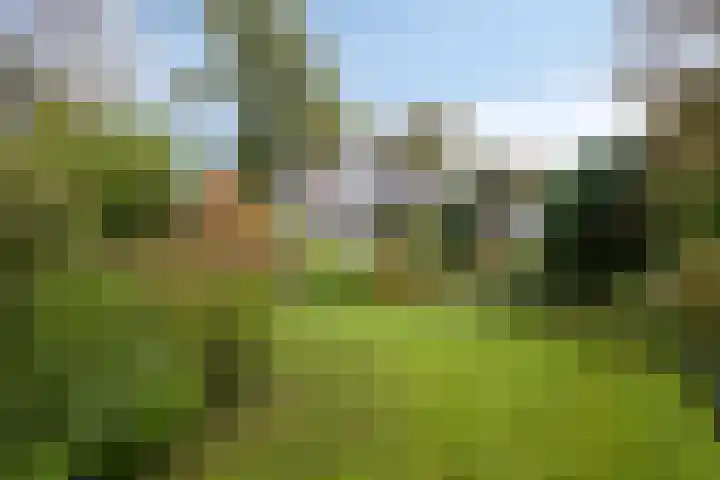 Berg en Bos 19 Hattem thumbnail 62