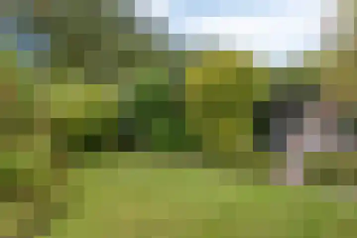 Berg en Bos 19 Hattem thumbnail 63