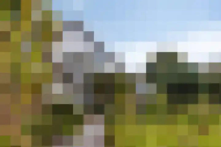 Berg en Bos 19 Hattem thumbnail 64