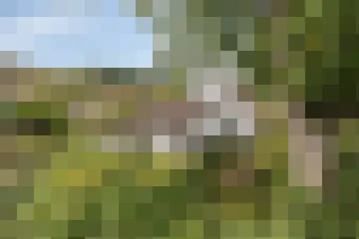 Berg en Bos 19 Hattem thumbnail 65