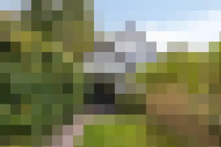 Berg en Bos 19 Hattem thumbnail 66