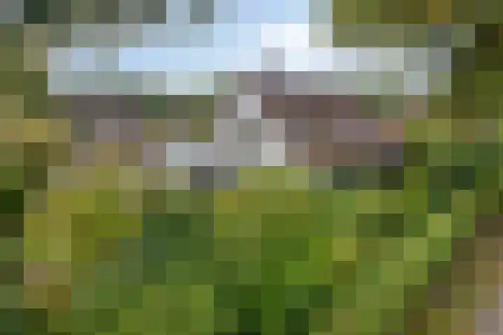 Berg en Bos 19 Hattem thumbnail 69