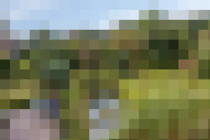 Berg en Bos 19 Hattem thumbnail 70
