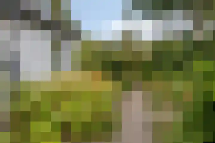 Berg en Bos 19 Hattem thumbnail 72