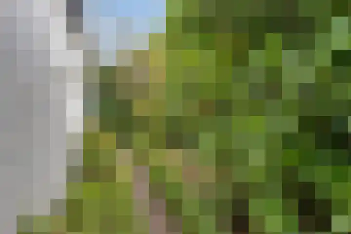 Berg en Bos 19 Hattem thumbnail 74