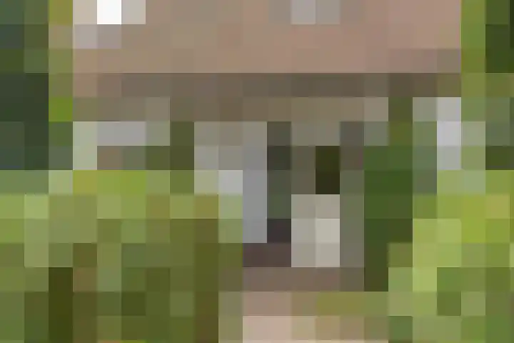 Berg en Bos 19 Hattem thumbnail 76