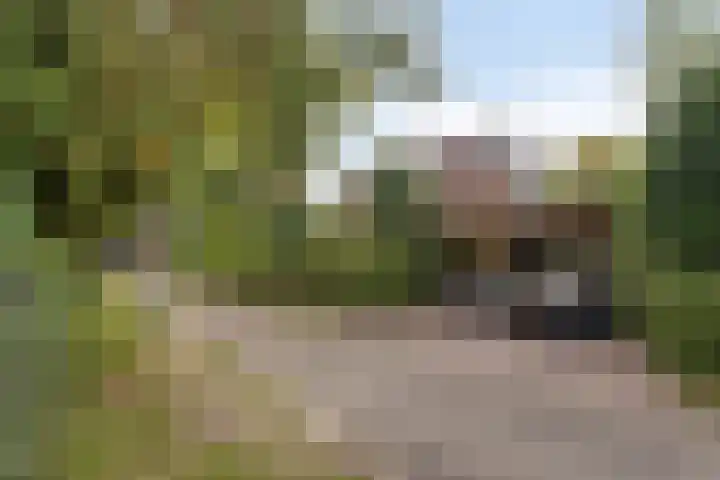 Berg en Bos 19 Hattem thumbnail 77