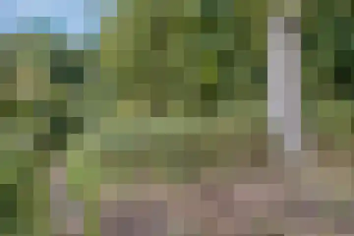 Berg en Bos 19 Hattem thumbnail 78