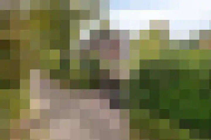 Berg en Bos 19 Hattem thumbnail 80