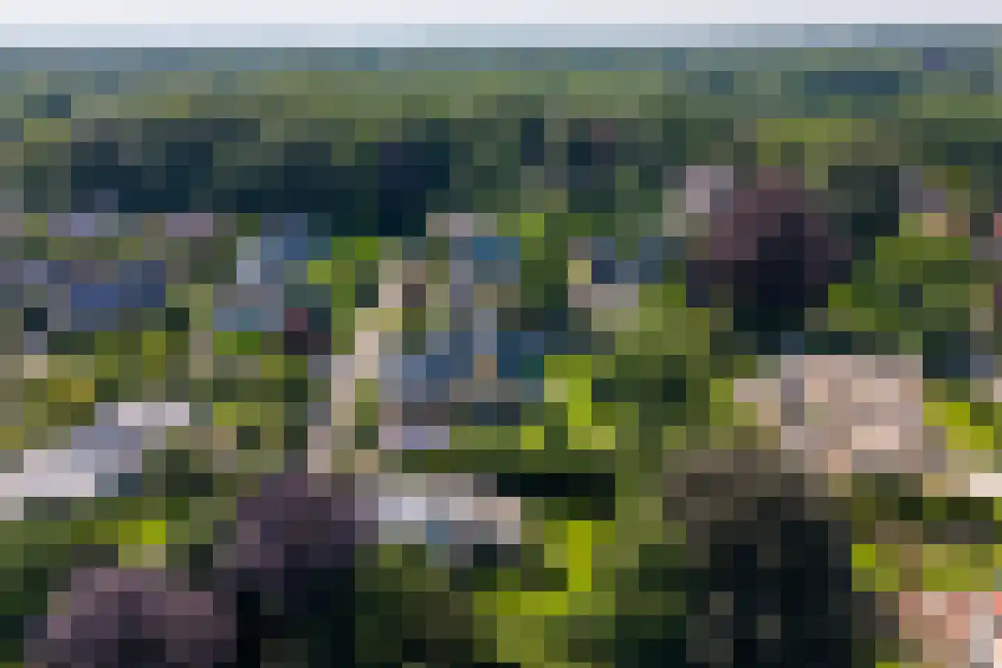 Berg en Bos 20 Hattem thumbnail 4