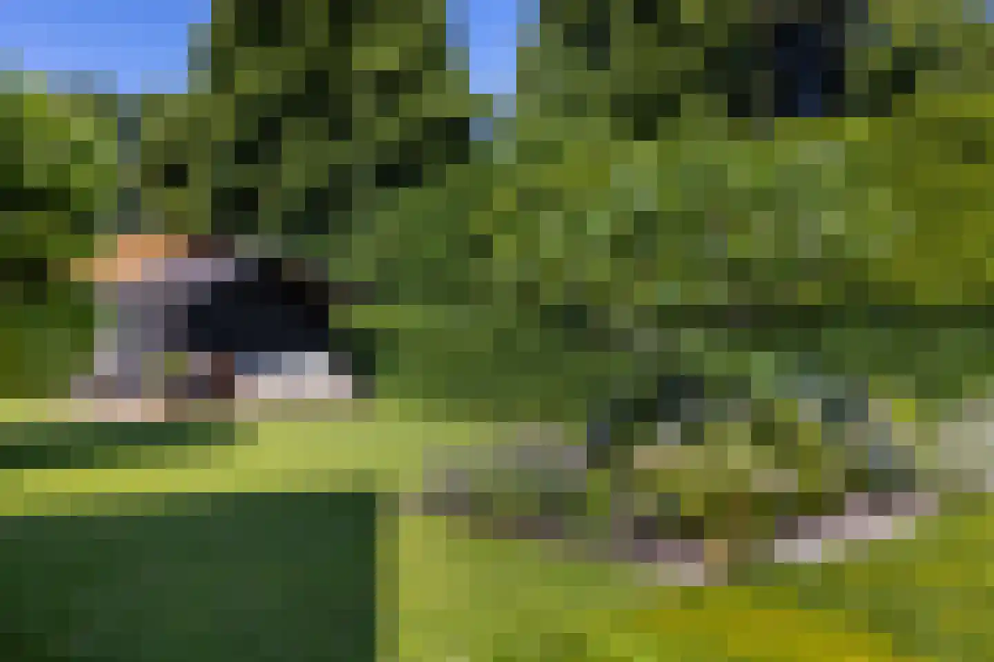 Berg en Bos 20 Hattem thumbnail 51