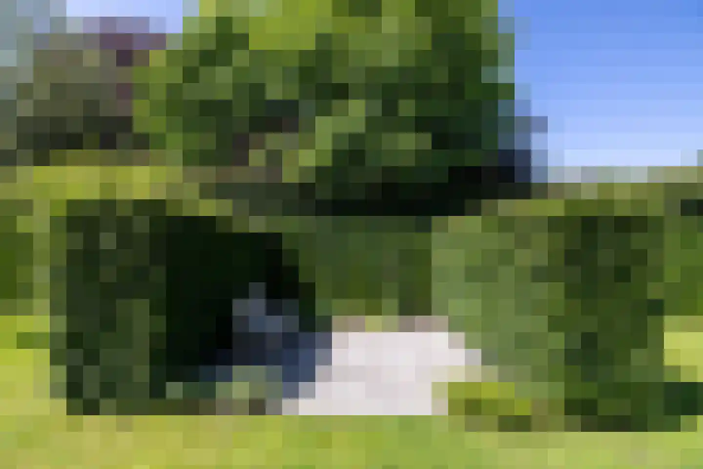 Berg en Bos 20 Hattem thumbnail 54