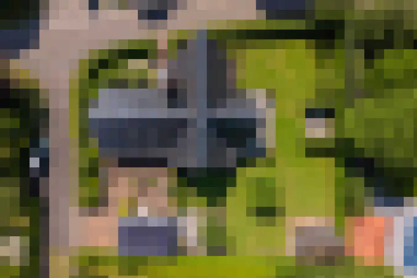 Berg en Bos 20 Hattem thumbnail 56