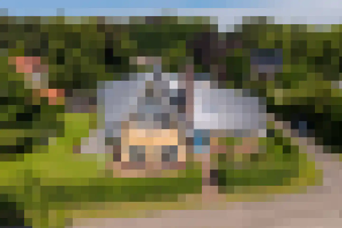Berg en Bos 20 Hattem thumbnail 58
