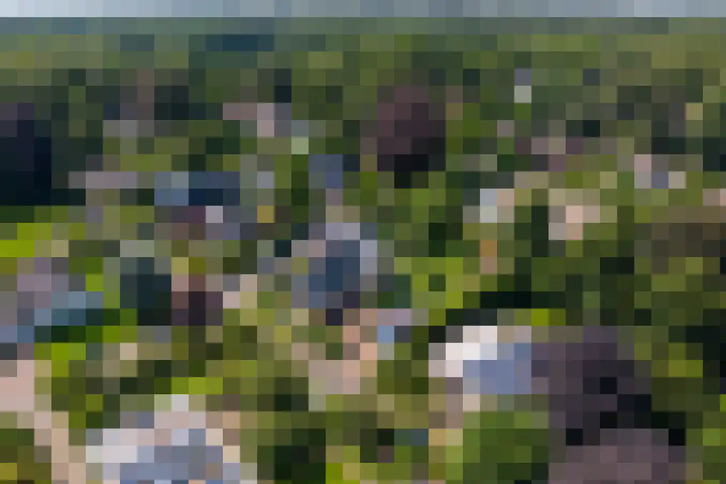 Berg en Bos 20 Hattem thumbnail 61