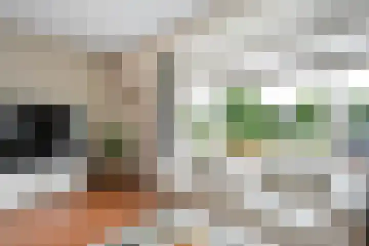 Berg en Bos 28 Tuk thumbnail 13
