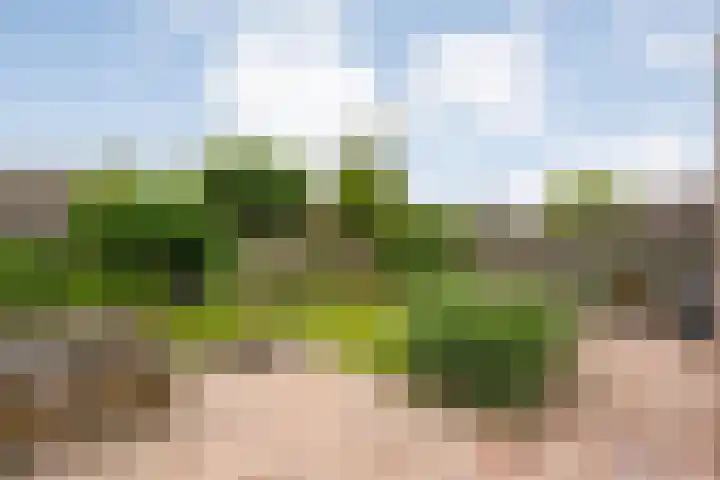Berg en Bos 28 Tuk thumbnail 38