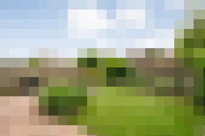 Berg en Bos 28 Tuk thumbnail 39