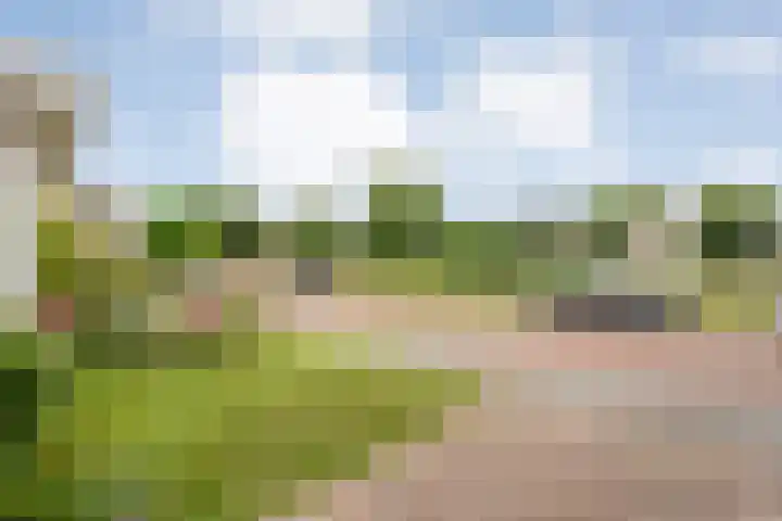 Berg en Bos 28 Tuk thumbnail 43