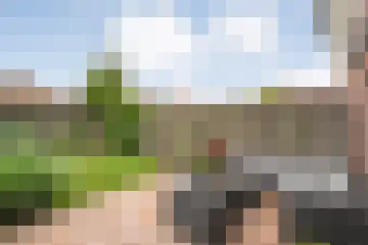 Berg en Bos 28 Tuk thumbnail 5