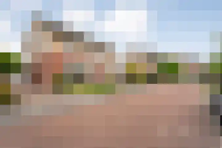 Berg en Bos 28 Tuk thumbnail 7